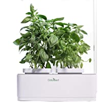 odyseed- Huerta Interior 100% orgánica-Cultiva Tus Hierbas aromáticas-Incluye Canela- albahaca y limón